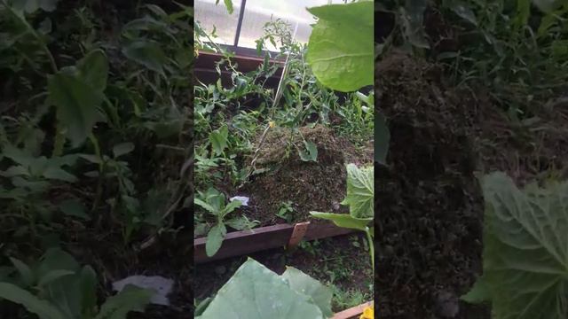 Ванька встанька смотреть онлайн