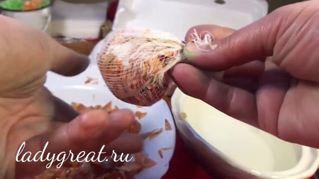 Красим яйца к Пасхе. Красим яйца зеленкой и шелухой лука. Мраморные яйца. смотреть онлайн