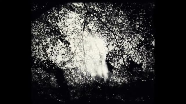 Nicolas Repac - Ethnicolor