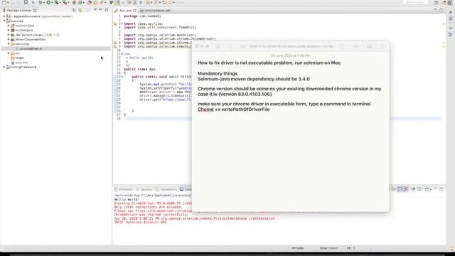 how to run Selenium Webdriver scripts using chrome browser on MAC OSx смотреть онлайн