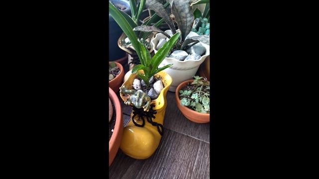 Мои фигурки. Маленькое хобби. 2 часть смотреть онлайн