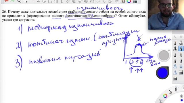 что обязательно сделать до ЕГЭ смотреть онлайн