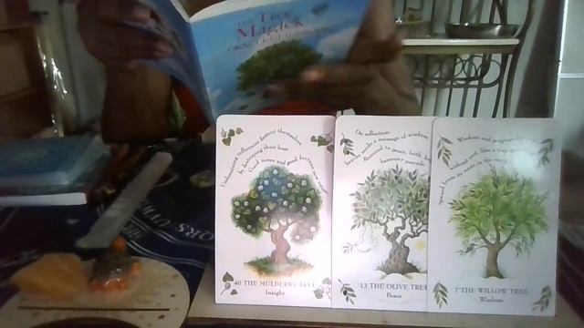 ??Ancestors Speak ??Coming into Wisdom - The Olive Tree! ?#ancestors #oracle #tarot #reading #love смотреть онлайн