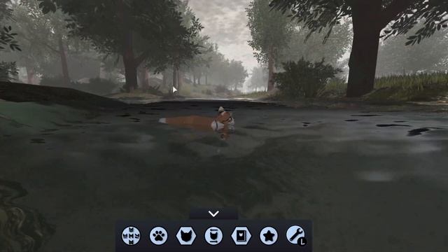 Running around as a battle cat in roblox || Warrior Cats: Ultimate Edition смотреть онлайн