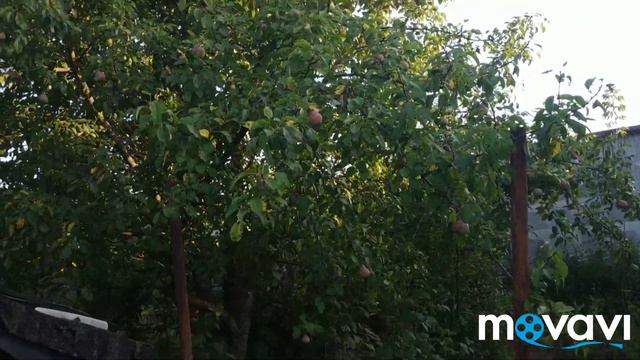 Вместо секонд хенда поход в Огород N5. смотреть онлайн