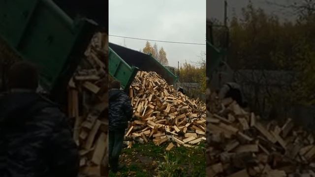 Что нужно знать при покупке дров? Дрова должны быть сложены, а не свалены в кузове! смотреть онлайн
