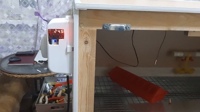 Брудер для цыплят своими руками смотреть онлайн