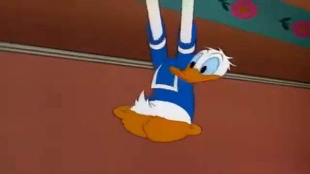 MICKEY MOUSE CARTOONS & Daisy Duck Cartoons Full Episodes And Cartoon For Kids • JBTCartoon