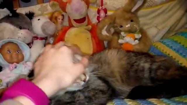 Мебель для кукол. Рай для девочек) Сама бы играла. Не наигралась мамуля