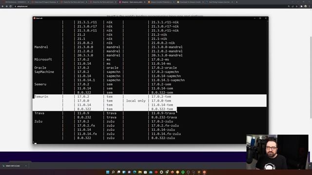 How to Choose Which Java to Install in 2022? смотреть онлайн