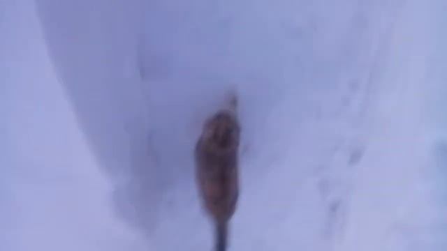 Пусти кота в огород называется смотреть онлайн