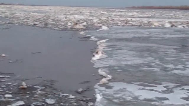 На моей на реке смотреть онлайн