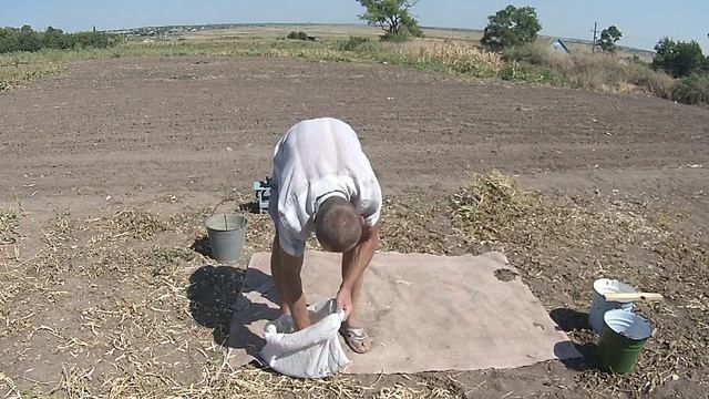 Лайфак #1 уборка фасоли. смотреть онлайн
