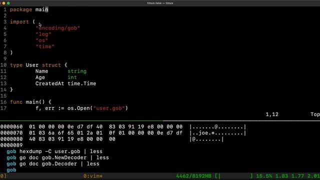 Go (Golang) GOB Encoding Tutorial смотреть онлайн
