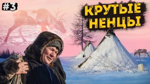 КАК ЖИВУТ НАСТОЯЩИЕ НЕНЦЫ ОЛЕНЕВОДЫ В ЧУМАХ / ДОБРАТЬСЯ ДО СЕВЕРНЫХ ОЛЕНЕЙ НА ВНЕДОРОЖНИКАХ. ЯМАЛ #3