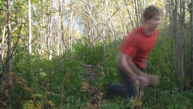 Небольшая пробежка по лесу смотреть онлайн