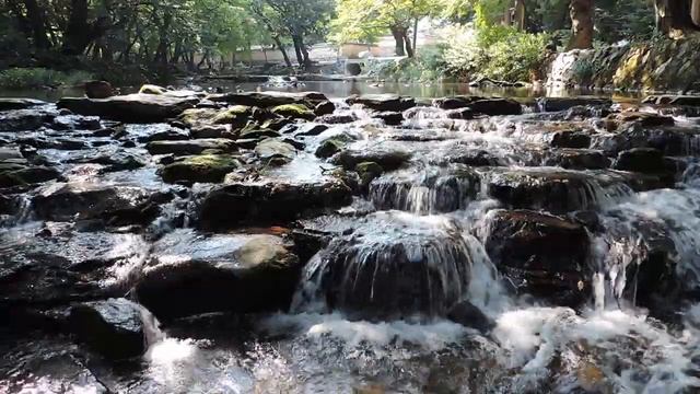 NIKON COOLPIX P520 Video Sample 06 смотреть онлайн