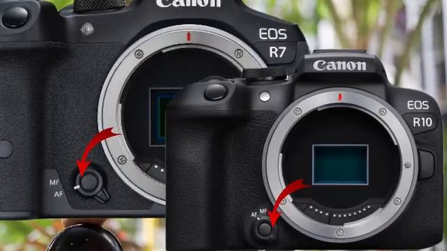 Canon R7 And Canon R10 - WORTH OR NOT ? смотреть онлайн