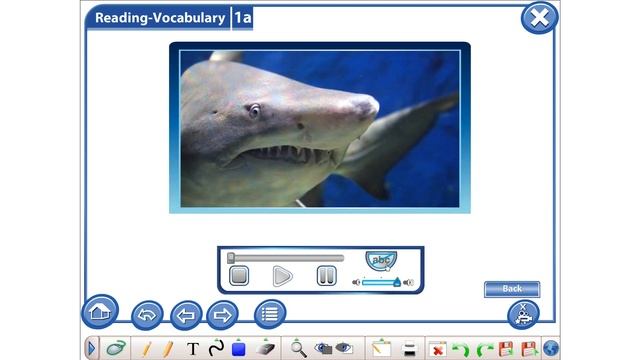 Grade 9 Lesson 2 Shark attack смотреть онлайн
