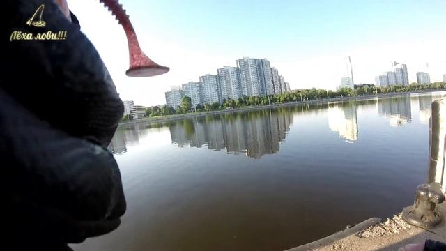 ОБЗОР СУМКИ ДЛЯ ХОДОВОЙ РЫБАЛКИ KYLEBOOKER | ловим на джиг на Москве-реке