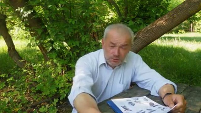 Путешествия в глубины сердца