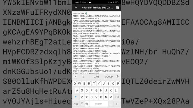 Как установить российские сертификаты минцифры смотреть онлайн