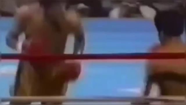 Gracias a Dios Se supo toda la verdad, se hará Justicia | AMLO #boxeo смотреть онлайн