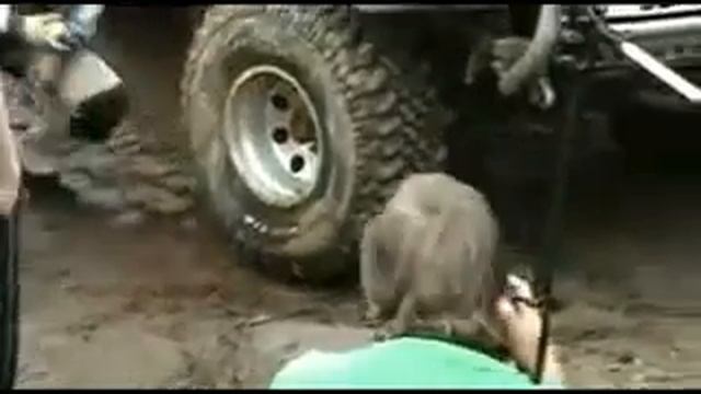 Как накачать колесо без насоса смотреть онлайн