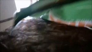 Шумоизоляция потолка из гипсокартона на мансарде