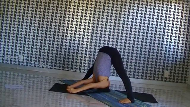 Personal Yoga Teacher in Miami Beach Florida смотреть онлайн