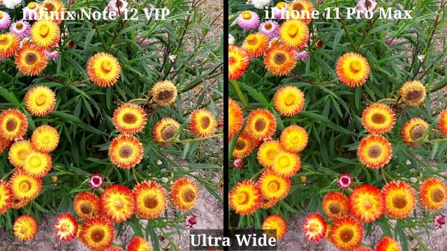 Infinix Note 12 VIP Camera Test Vs IPhone 11 Pro Max Camera Test