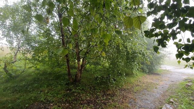 Вечерние дожди в горах...Осень рядом... смотреть онлайн