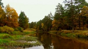 РЕКА ПРА ОСЕНЬЮ 2021.10.02