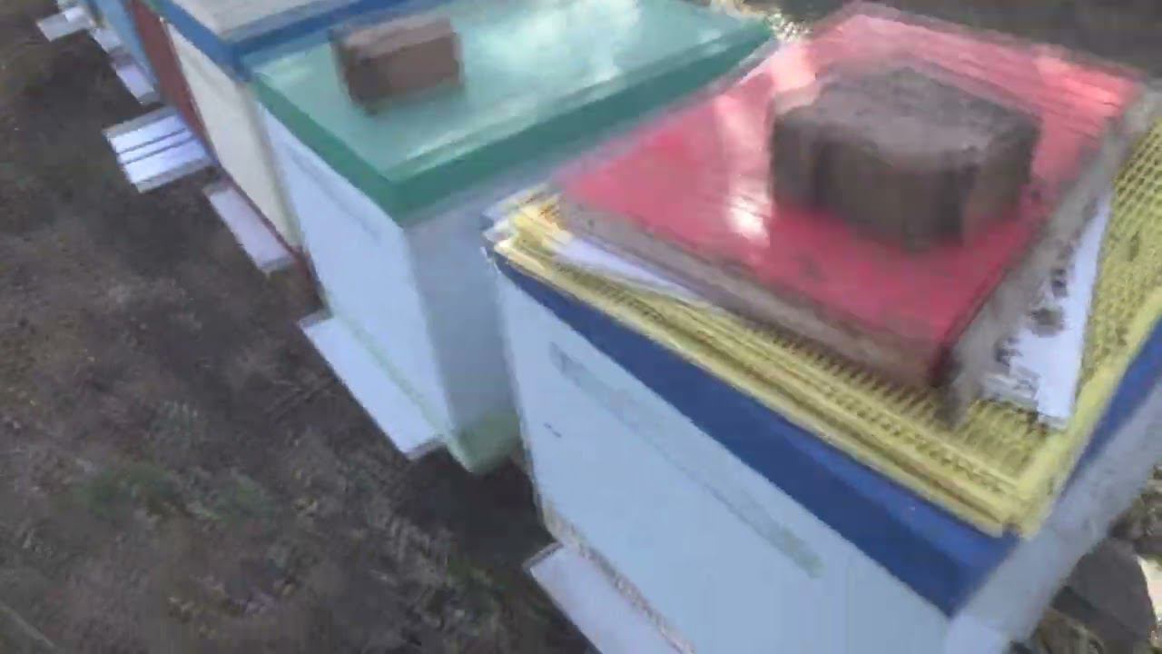 КЛЕЩА ТЬМА ОЧЕРЕДНАЯ ОБРАБОТКА, смотреть онлайн