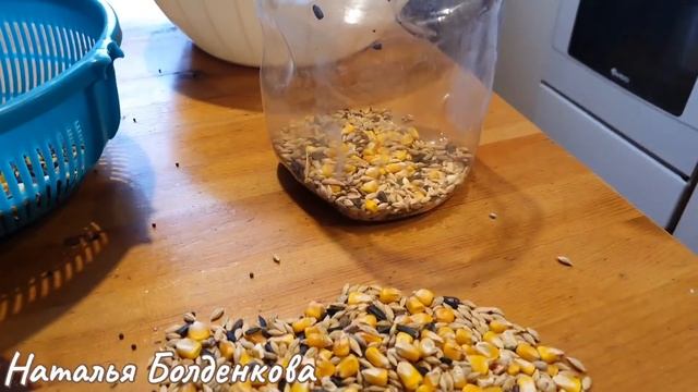 Роза косячит》Копашусь на кухне》Уборка в доме》 Козья буженина смотреть онлайн