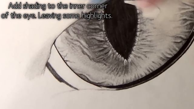 How to Draw a Cat Eye смотреть онлайн