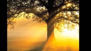 МЕЧТАЕМ О ЧУДЕ.  С . Трофимов