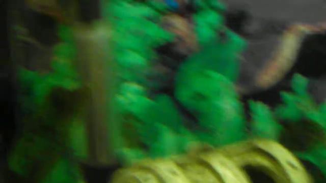 що треба купити для акваріумних риб смотреть онлайн