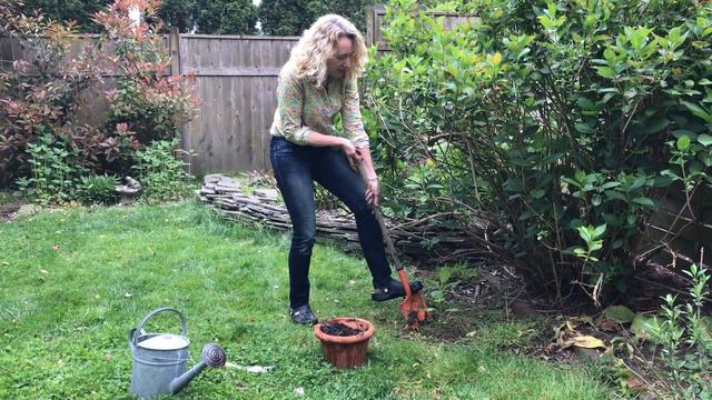 The Hydrangea's Gift смотреть онлайн