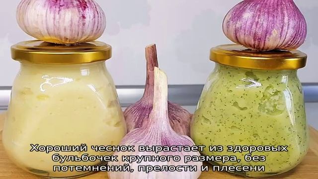 Пошаговая инструкция по посадке бульбочек чеснока под зиму: основные правила и секреты опытных ого. смотреть онлайн