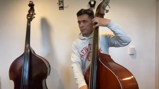 GOLDEN GUT/king strings gut strings doublebass 「Sleepwalk/Sant&Johnny」 смотреть онлайн