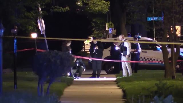 4 charged in fatal shooting of Chicago police officer смотреть онлайн