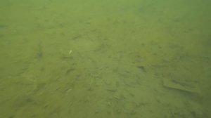 Игра Bassday Mogul Minnow 130SP. Подводные съемки. Underwater