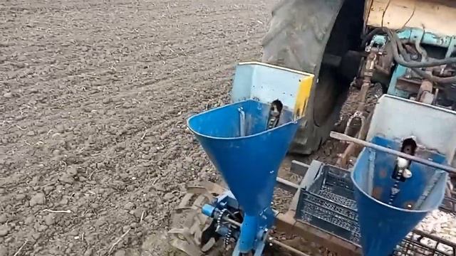 Сажаем чеснок! смотреть онлайн