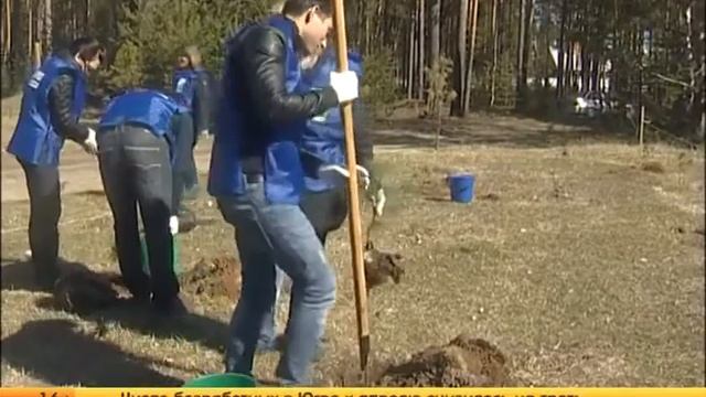 СЮЖЕТ) Сегодня в Сайгатина высадили кедросад смотреть онлайн