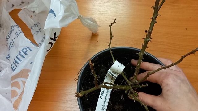 посылка с розами розебук.ру ROZEBOOK.RU смотреть онлайн