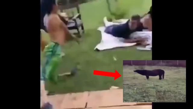 Top 5 Goofy ahh moment смотреть онлайн