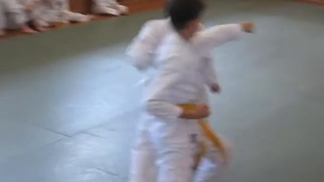 Аттестация на желтый пояс по Карате - ( КАТА ) смотреть онлайн