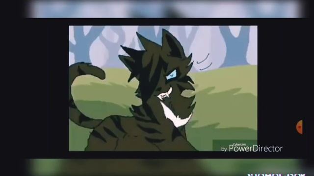 коты воители! Ежевика и Коршун клип "Брат за брата" ?????? смотреть онлайн