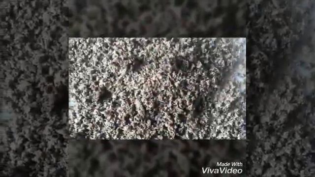 Вкусный банановый коктейль всего за несколько минут смотреть онлайн